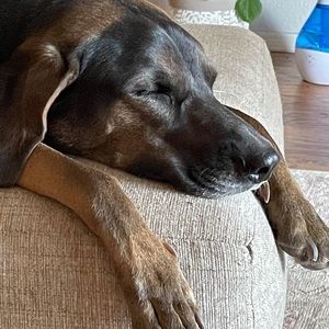 Meet your Posher, Conal